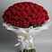 Букет 101 Красная роза Блэк Мэджик в Вохме