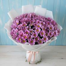 Букет цветов из:  Хризантемы в Вохме