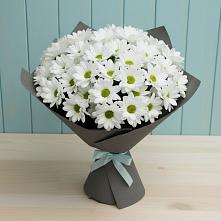 Букет цветов из:  Хризантемы в Вохме