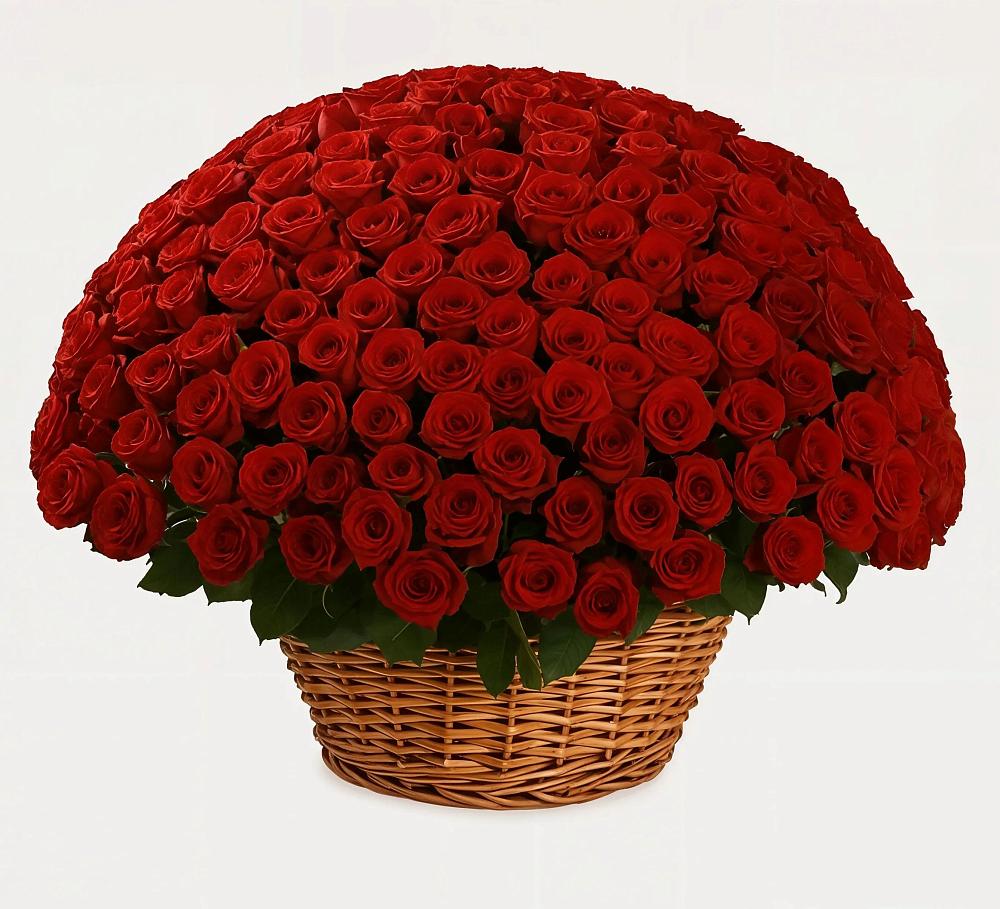 Премиум букет из: Розы в Вохме