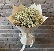 Букет цветов из:  Ромашки в Вохме