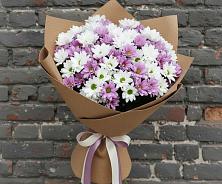 Букет цветов из:  Хризантемы в Вохме